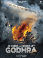 Accident or Conspiracy Godhra (Hindi)