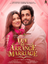 Luv Ki Arrange Marriage (Hindi)
